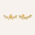 Rian Diamond Crawler Earrings